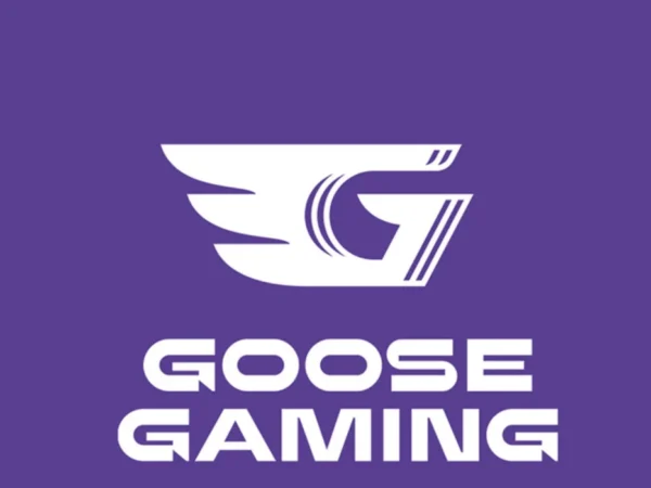 Goose Gaming